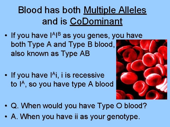 Blood has both Multiple Alleles and is Co. Dominant • If you have IAIB