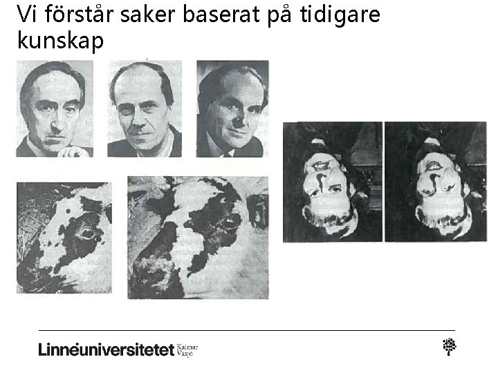 Vi förstår saker baserat på tidigare kunskap 