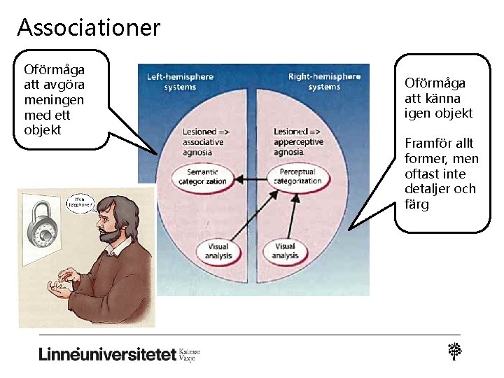 Associationer Oförmåga att avgöra meningen med ett objekt Oförmåga att känna igen objekt Framför