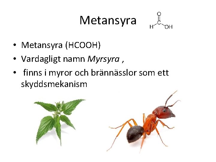 Metansyra • Metansyra (HCOOH) • Vardagligt namn Myrsyra , • finns i myror och