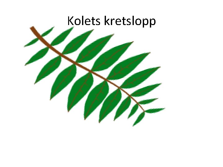 Kolets kretslopp 