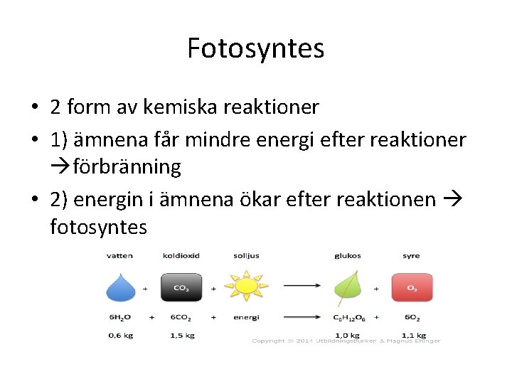 Fotosyntes • 2 form av kemiska reaktioner • 1) ämnena får mindre energi efter