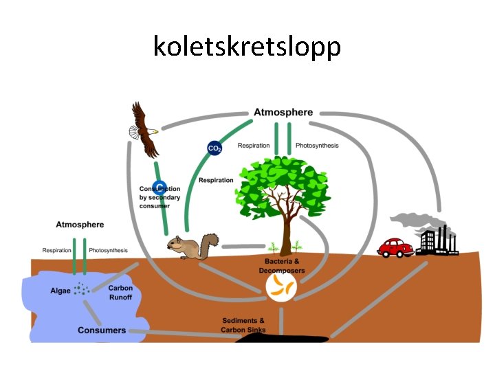 koletskretslopp 