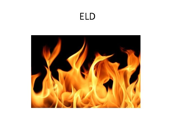 ELD 