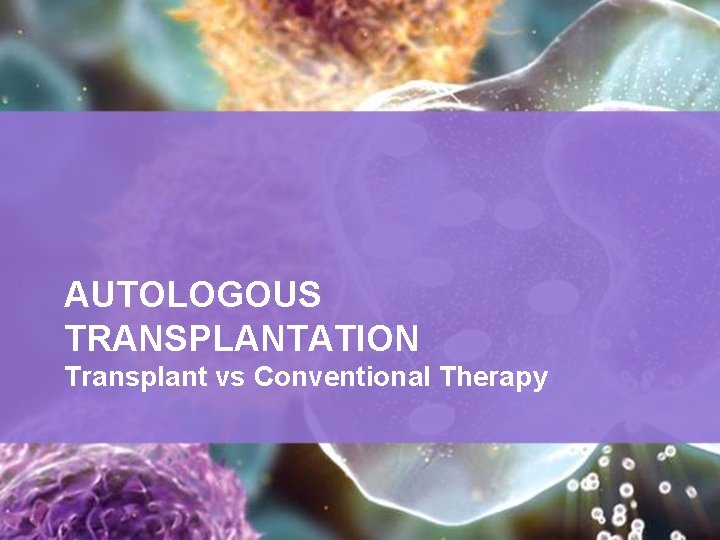 AUTOLOGOUS TRANSPLANTATION Transplant vs Conventional Therapy 