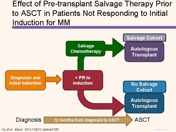 Effect of Pre-transplant Salvage Therapy Prior to ASCT in Patients Not Responding to Initial