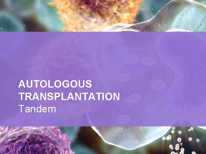 AUTOLOGOUS TRANSPLANTATION Tandem 