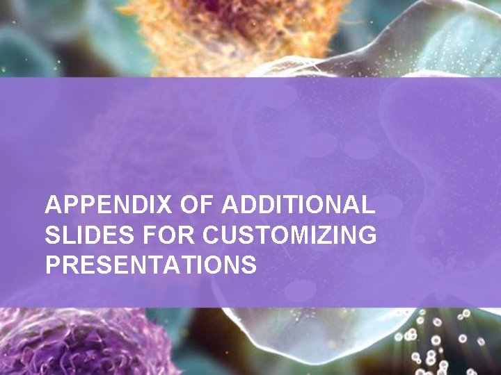 APPENDIX OF ADDITIONAL SLIDES FOR CUSTOMIZING PRESENTATIONS 