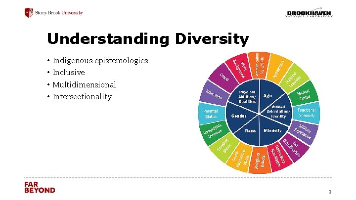 Understanding Diversity • Indigenous epistemologies • Inclusive • Multidimensional • Intersectionality ‘ 3 