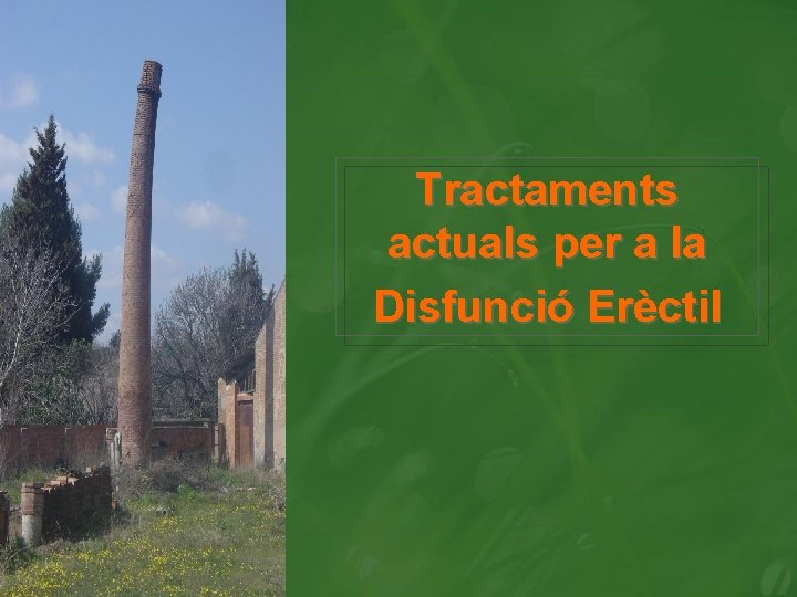 Tractaments actuals per a la Disfunció Erèctil 
