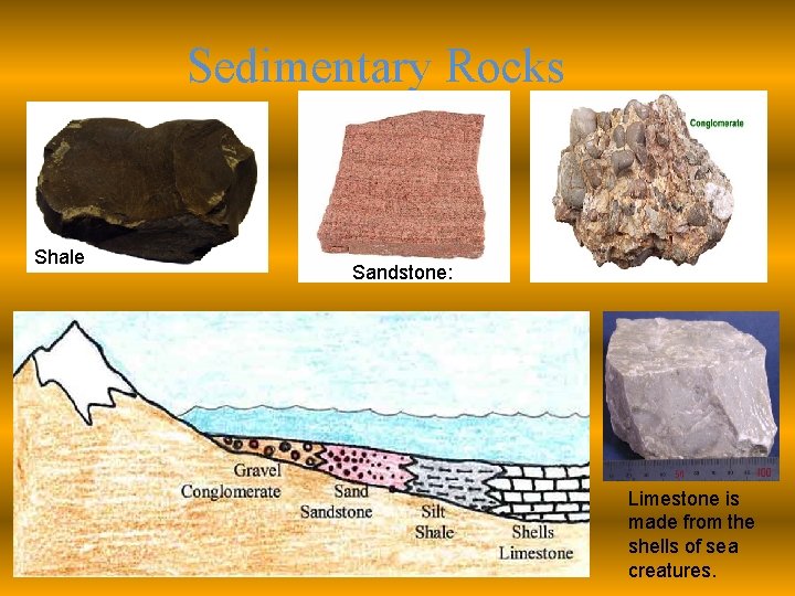 Sedimentary Rocks Shale Sandstone: Limestone is made from the shells of sea creatures. 