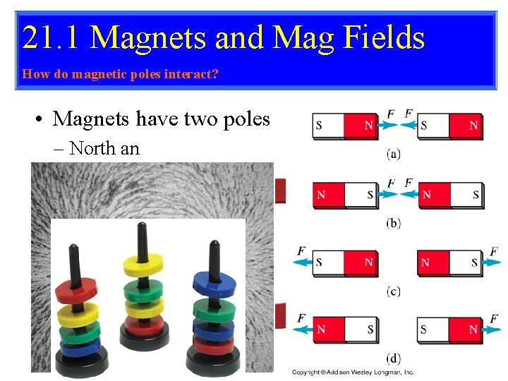 21. 1 Magnets and Mag Fields How do magnetic poles interact? • Magnets have
