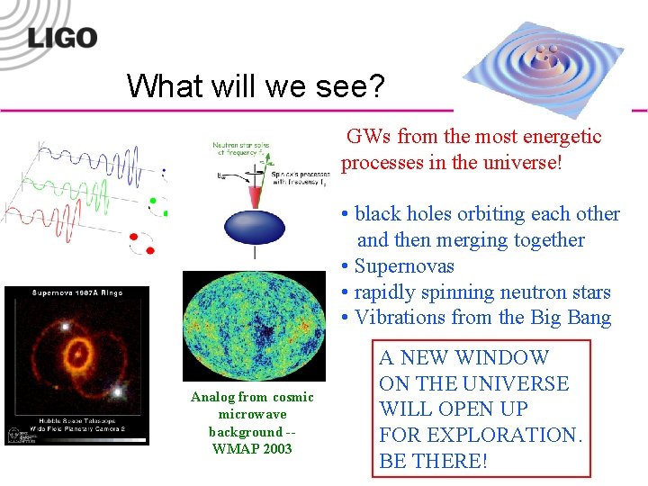 What will we see? GWs from the most energetic processes in the universe! •