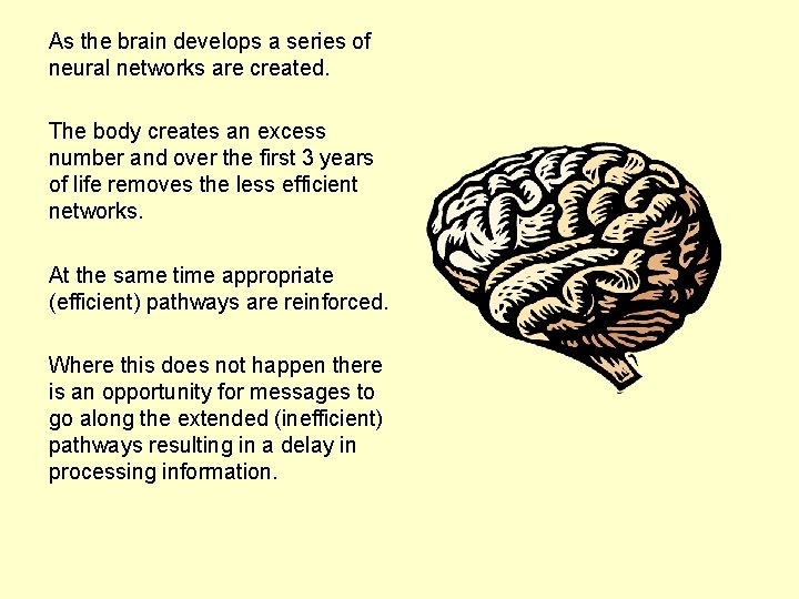 As the brain develops a series of neural networks are created. The body creates