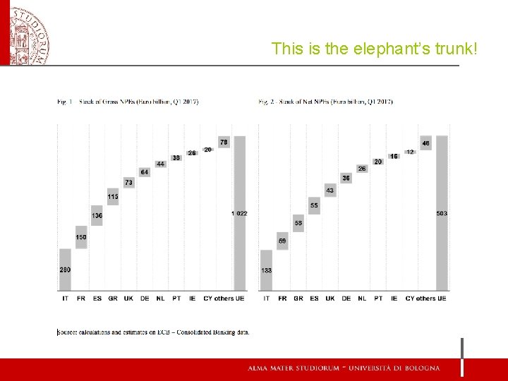 This is the elephant’s trunk! 