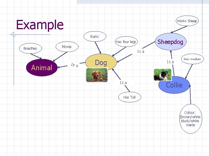 Example Works Sheep Barks Sheepdog Has four legs Breathes Animal Moves Is a Dog Example Works Sheep Barks Sheepdog Has four legs Breathes Animal Moves Is a Dog