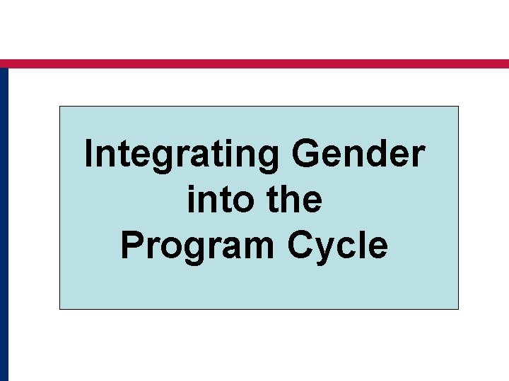 Integrating Gender into the Program Cycle 
