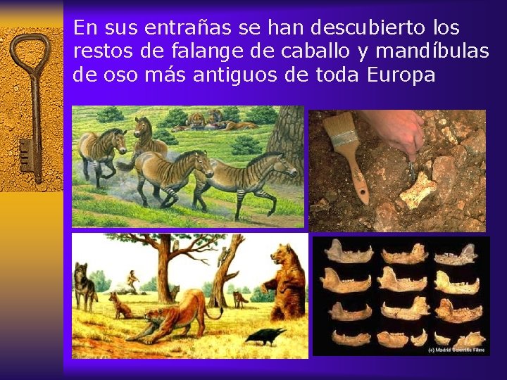 En sus entrañas se han descubierto los restos de falange de caballo y mandíbulas