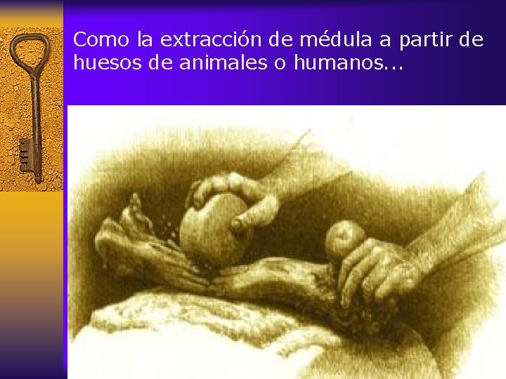 Como la extracción de médula a partir de huesos de animales o humanos. .