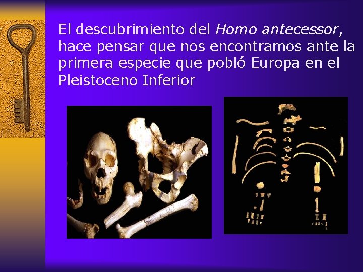 El descubrimiento del Homo antecessor, hace pensar que nos encontramos ante la primera especie