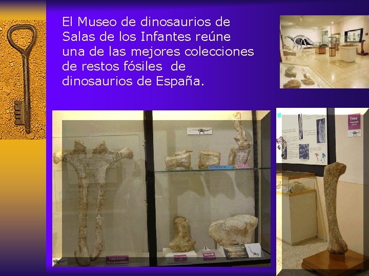 El Museo de dinosaurios de Salas de los Infantes reúne una de las mejores