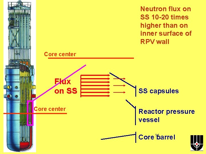 Neutron flux on SS 10 -20 times higher than on inner surface of RPV