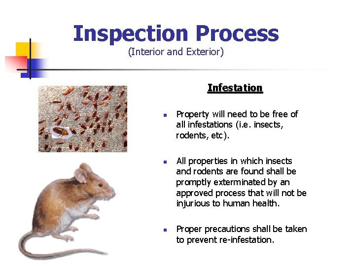 Inspection Process (Interior and Exterior) Infestation n Property will need to be free of