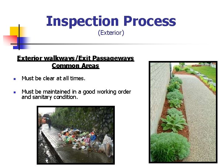 Inspection Process (Exterior) Exterior walkways/Exit Passageways Common Areas n Must be clear at all
