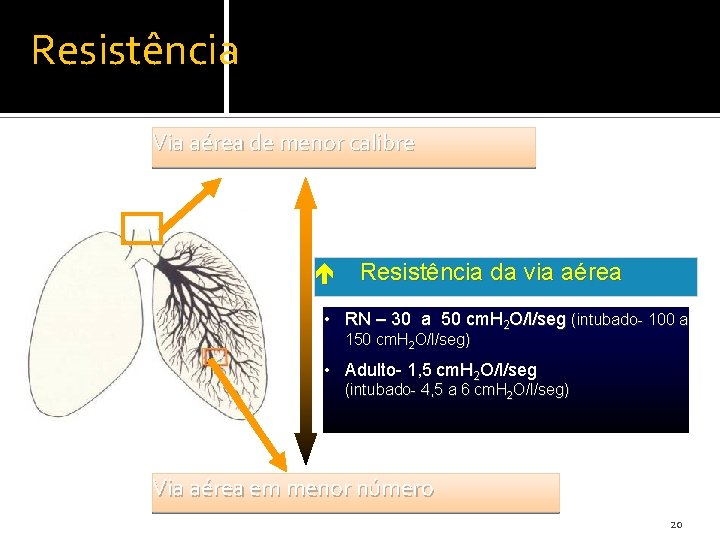Resistência Via aérea de menor calibre Resistência da via aérea • RN – 30