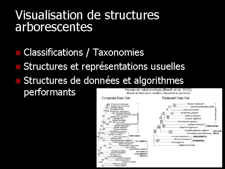 Visualisation de structures arborescentes Classifications / Taxonomies n Structures et représentations usuelles n Structures