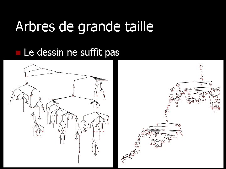 Arbres de grande taille n Le dessin ne suffit pas 