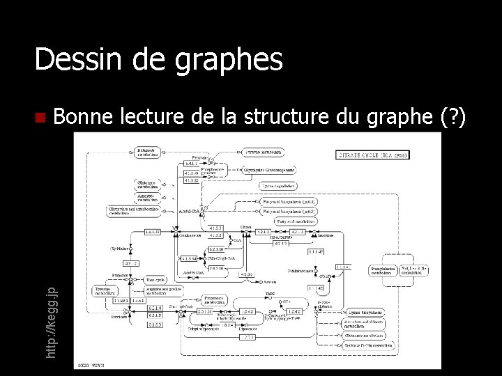 Dessin de graphes Bonne lecture de la structure du graphe (? ) http: //kegg.