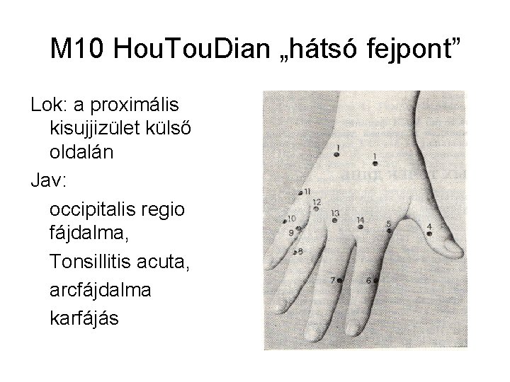 M 10 Hou. Tou. Dian „hátsó fejpont” Lok: a proximális kisujjizület külső oldalán Jav: