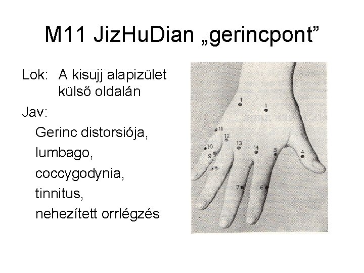M 11 Jiz. Hu. Dian „gerincpont” Lok: A kisujj alapizület külső oldalán Jav: Gerinc