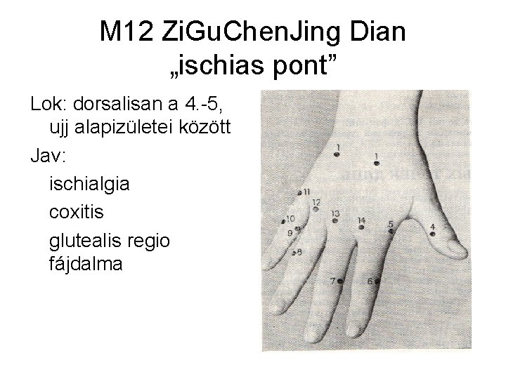 M 12 Zi. Gu. Chen. Jing Dian „ischias pont” Lok: dorsalisan a 4. -5,
