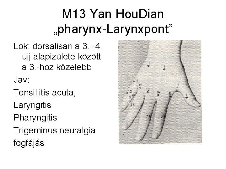 M 13 Yan Hou. Dian „pharynx-Larynxpont” Lok: dorsalisan a 3. -4. ujj alapizülete között,