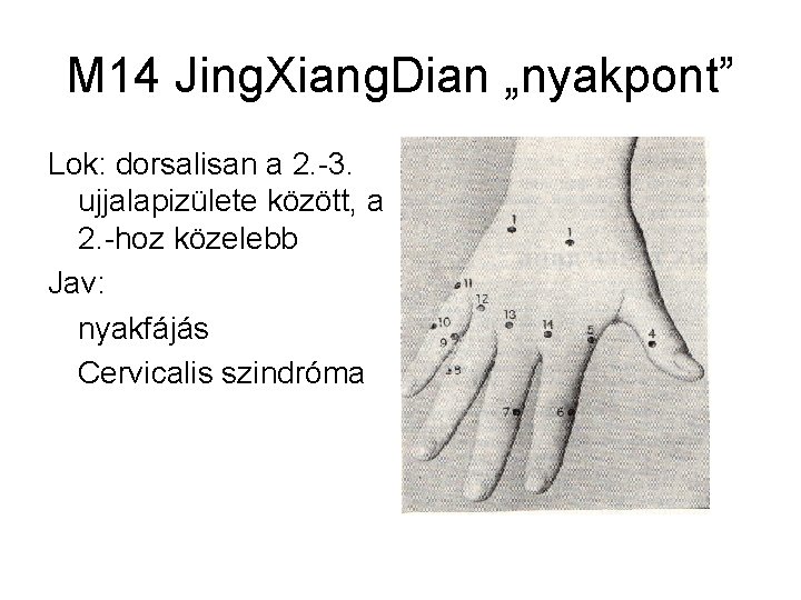 M 14 Jing. Xiang. Dian „nyakpont” Lok: dorsalisan a 2. -3. ujjalapizülete között, a