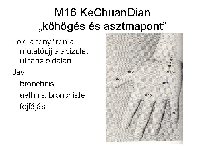 M 16 Ke. Chuan. Dian „köhögés és asztmapont” Lok: a tenyéren a mutatóujj alapizület