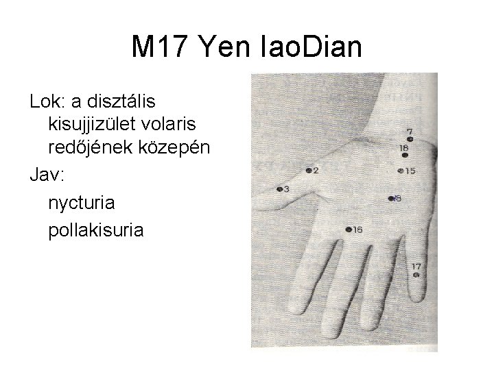 M 17 Yen Iao. Dian Lok: a disztális kisujjizület volaris redőjének közepén Jav: nycturia