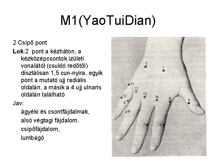 M 1(Yao. Tui. Dian) 2 Csípő pont Lok: 2 pont a kézháton, a kézközépcsontok