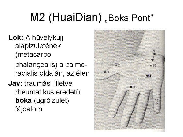 M 2 (Huai. Dian) „Boka Pont” Lok: A hüvelykujj alapizületének (metacarpo phalangealis) a palmoradialis