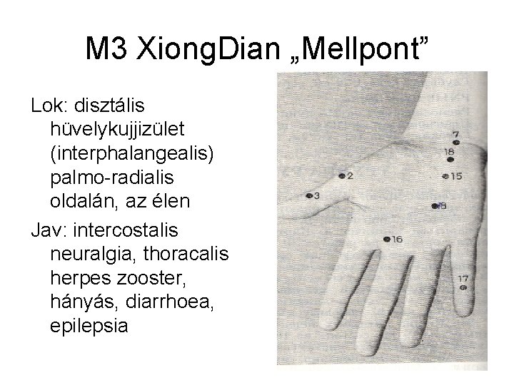 M 3 Xiong. Dian „Mellpont” Lok: disztális hüvelykujjizület (interphalangealis) palmo-radialis oldalán, az élen Jav: