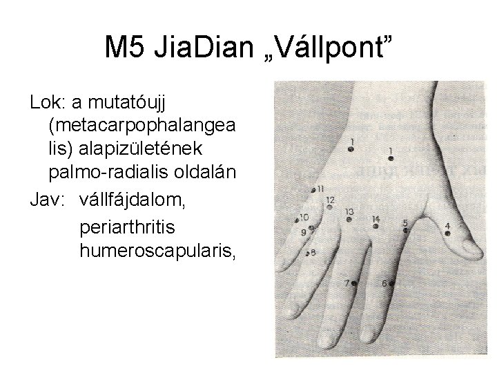 M 5 Jia. Dian „Vállpont” Lok: a mutatóujj (metacarpophalangea lis) alapizületének palmo-radialis oldalán Jav: