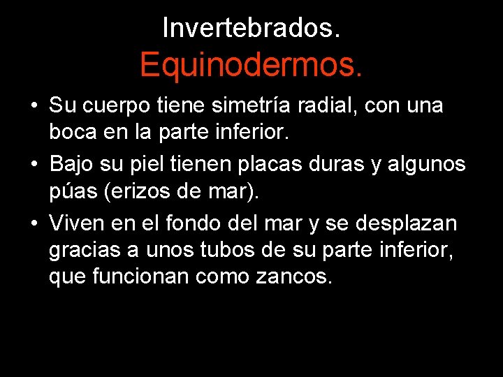 Invertebrados. Equinodermos. • Su cuerpo tiene simetría radial, con una boca en la parte