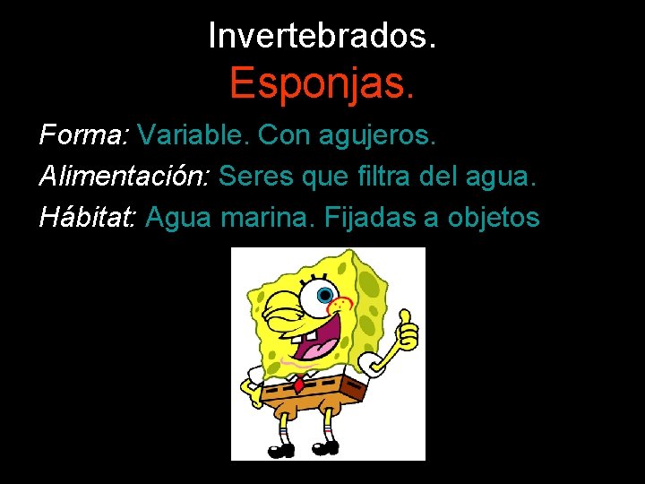 Invertebrados. Esponjas. Forma: Variable. Con agujeros. Alimentación: Seres que filtra del agua. Hábitat: Agua