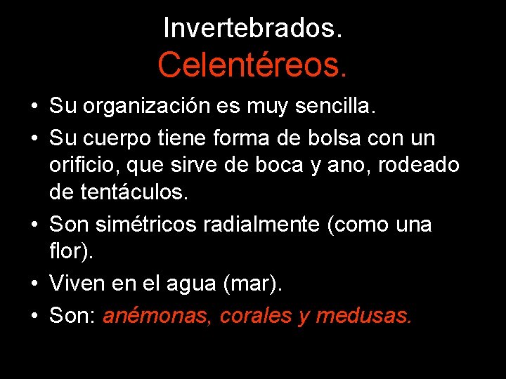 Invertebrados. Celentéreos. • Su organización es muy sencilla. • Su cuerpo tiene forma de