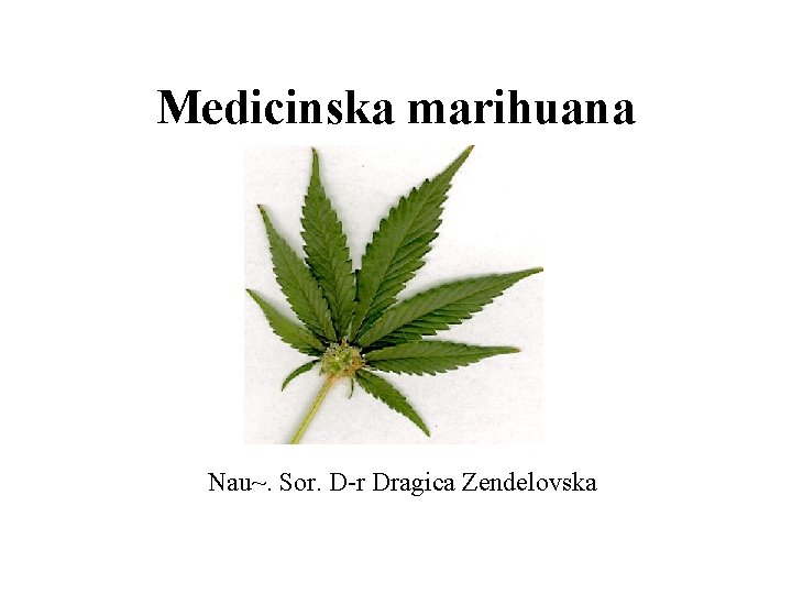 Medicinska marihuana Nau~. Sor. D-r Dragica Zendelovska 