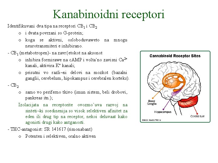 Kanabinoidni receptori Identifikuvani dva tipa na receptori CB 1 i CB 2 o i