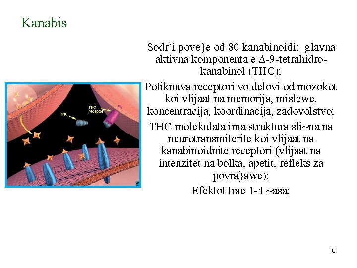 Kanabis Sodr`i pove}e od 80 kanabinoidi: glavna aktivna komponenta e ∆-9 -tetrahidrokanabinol (THC); Potiknuva