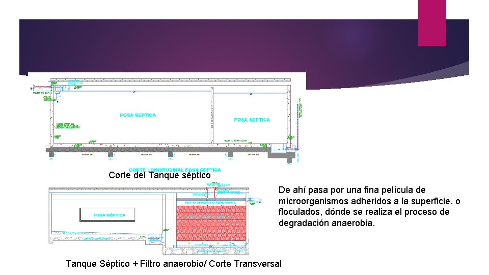Corte del Tanque séptico De ahí pasa por una fina película de microorganismos adheridos